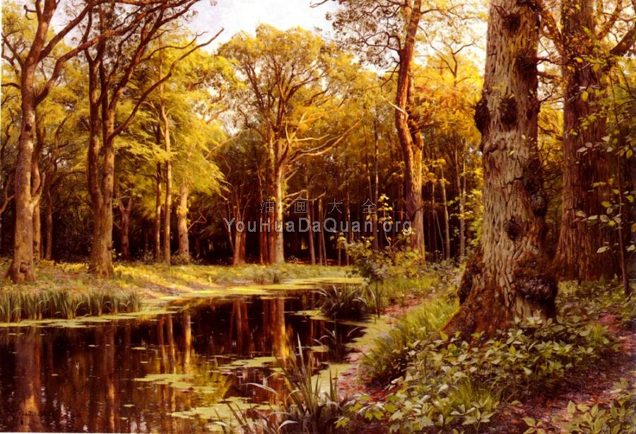 A Forest Stream - 佩德·莫克·曼斯特德